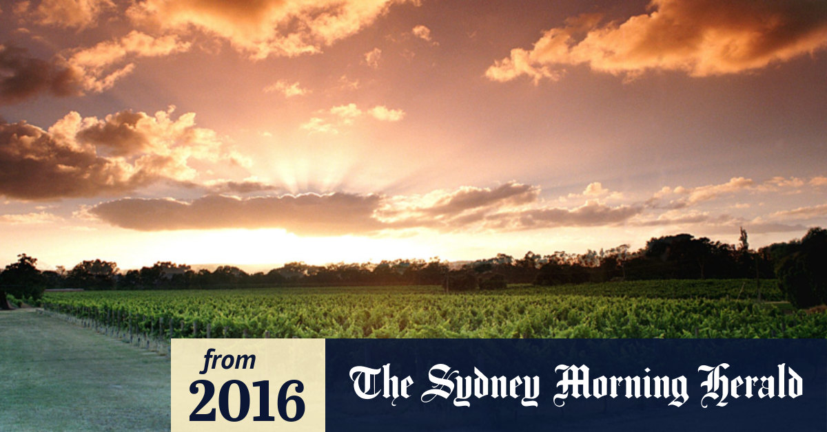 Perth Royal Wine Show WA wines impress top wine critic